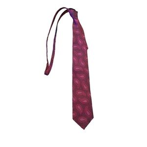 Vienicci Men’s Paisley Printed Tie